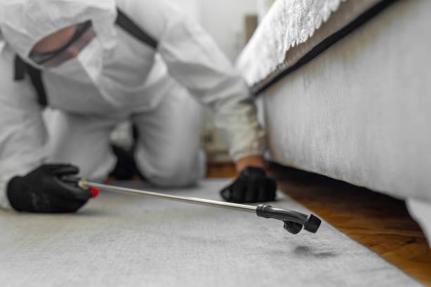 Professional Termite Control technician working in Cherokee County County, TX